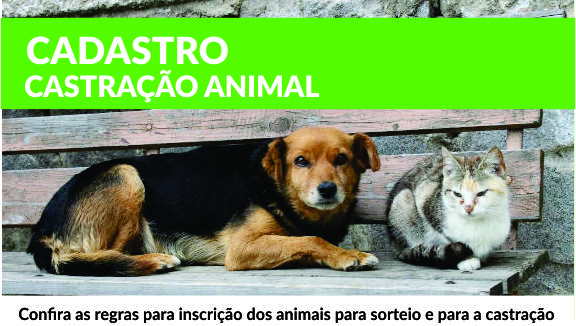 Cadastramento de animais (cães e gatos) para castração gratuita. Confira as regras
