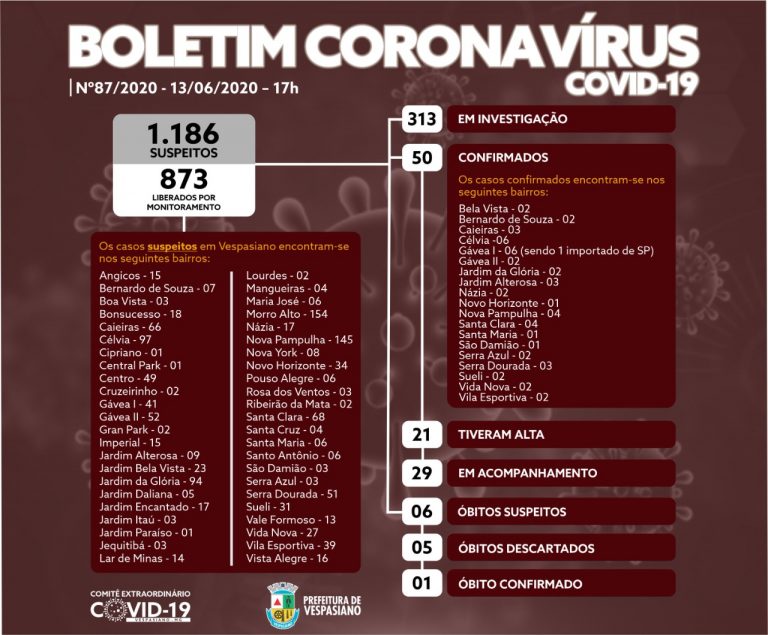 Boletim 87/2020