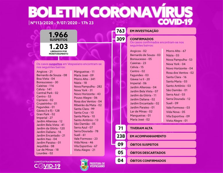 Boletim 113/2020