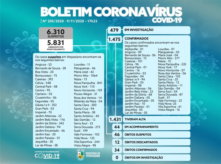 Boletim 205/2020