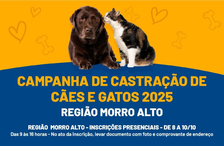 ÚLTIMO DIA!